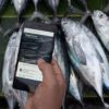 Traceability Problems Existing In The Seafood Industry To Be Solved Through Blockchain By This Startup