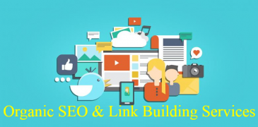 Organic SEO & Link Building Services