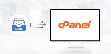 Free Tricks to Add Import MBOX File to cPanel