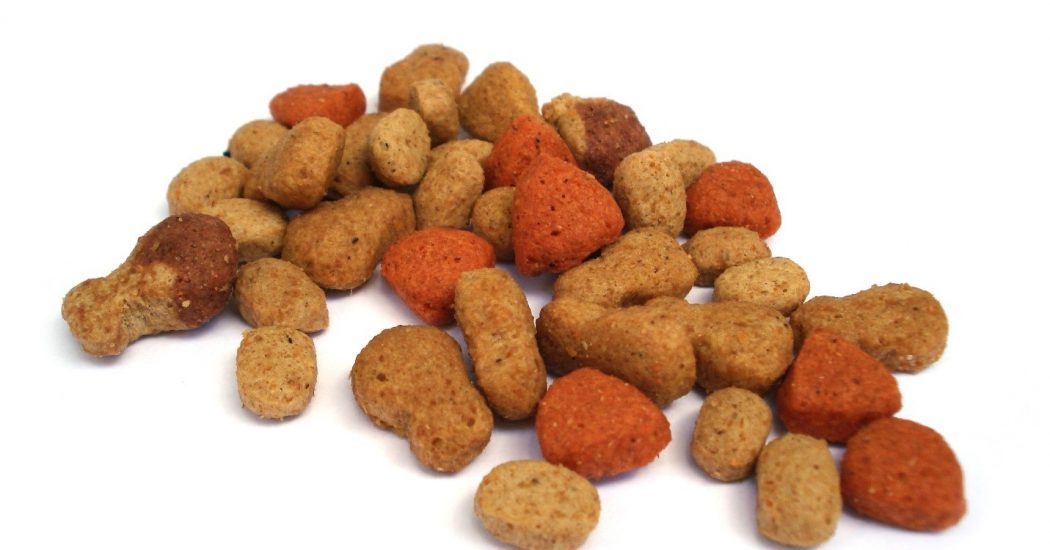 Know About Giving Raw Pet Food