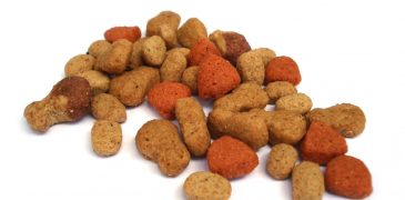 Know About Giving Raw Pet Food